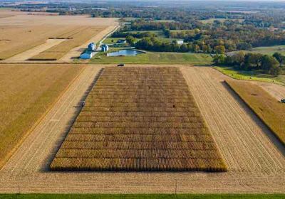 Aerial view of FIRST plot at harvest time in Novelty Missouri 2020.